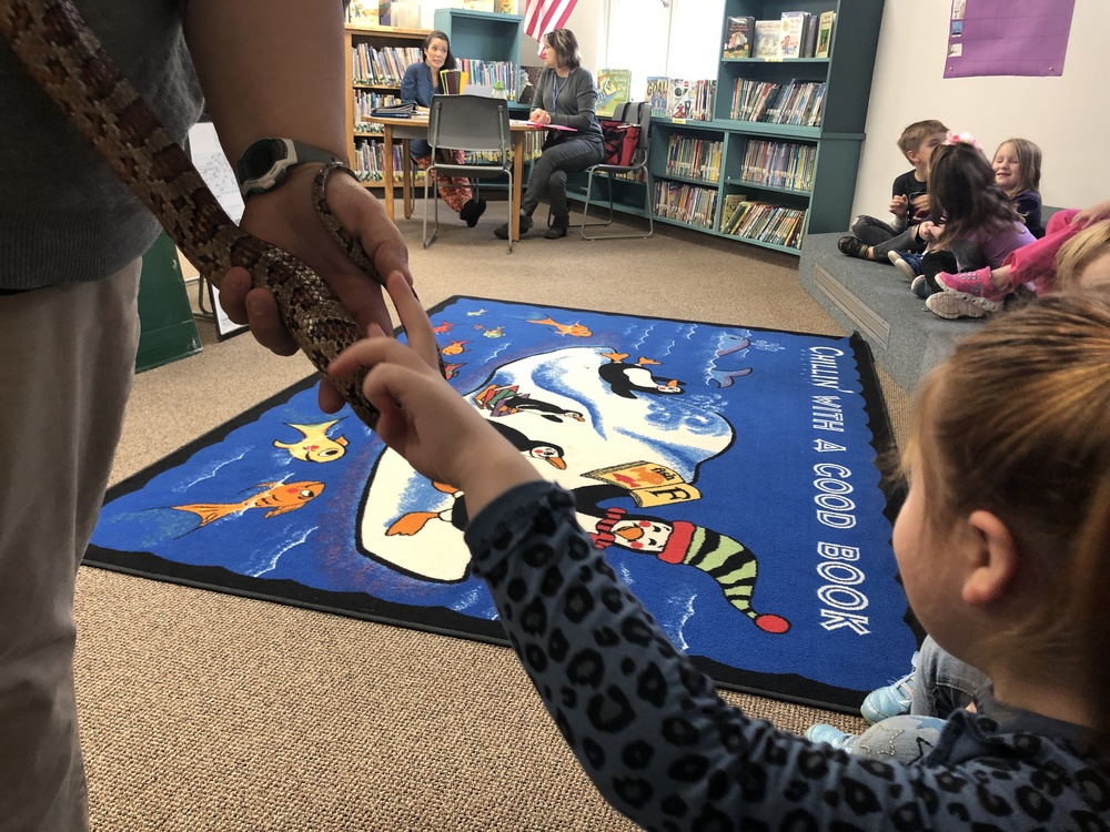 Two fingers to touch a snake.