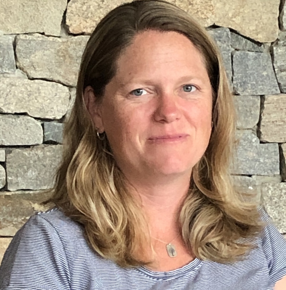 "New" District Math Coach