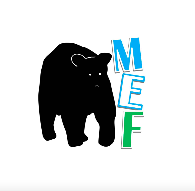 MEF logo
