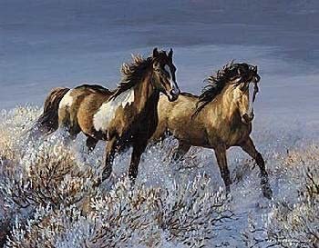 Winter Sage (horses)