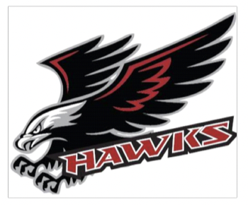 VARSITY HOCKEY