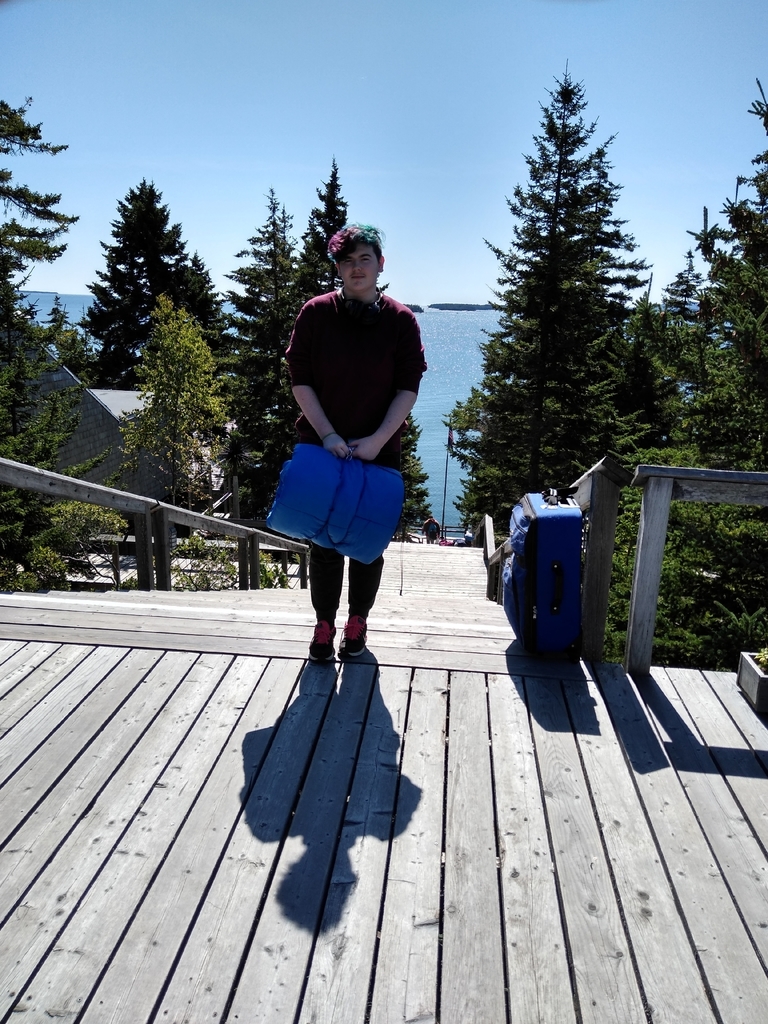 Drew starts art program on Deer Isle